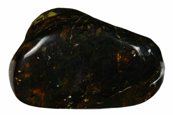 Polished Chiapas Amber ( grams) - Mexico #180502